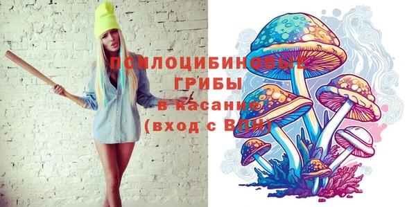 твердый Балахна