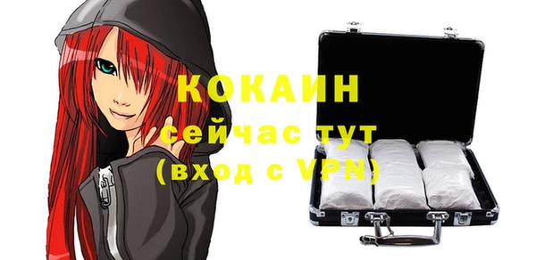 твердый Балахна
