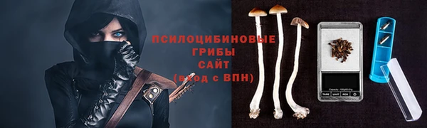 твердый Балахна