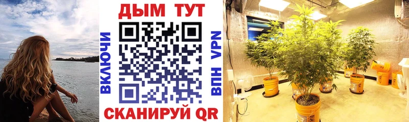 купить  цена  Ленинск-Кузнецкий  Бошки Шишки Bruce Banner 
